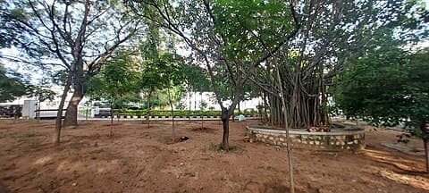 IIIT Hyderabad photo 3