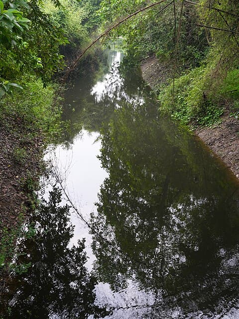 IIT Guwahati photo 3