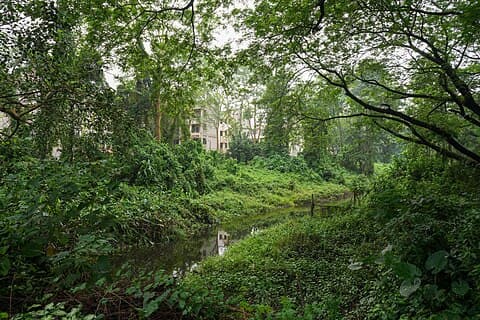 IIT Guwahati photo 4