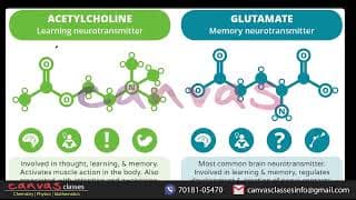 Nomenclature of Amines, Physical properties & Nitrogen Inversion | JEE + NEET