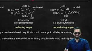 Biomolecules - L2