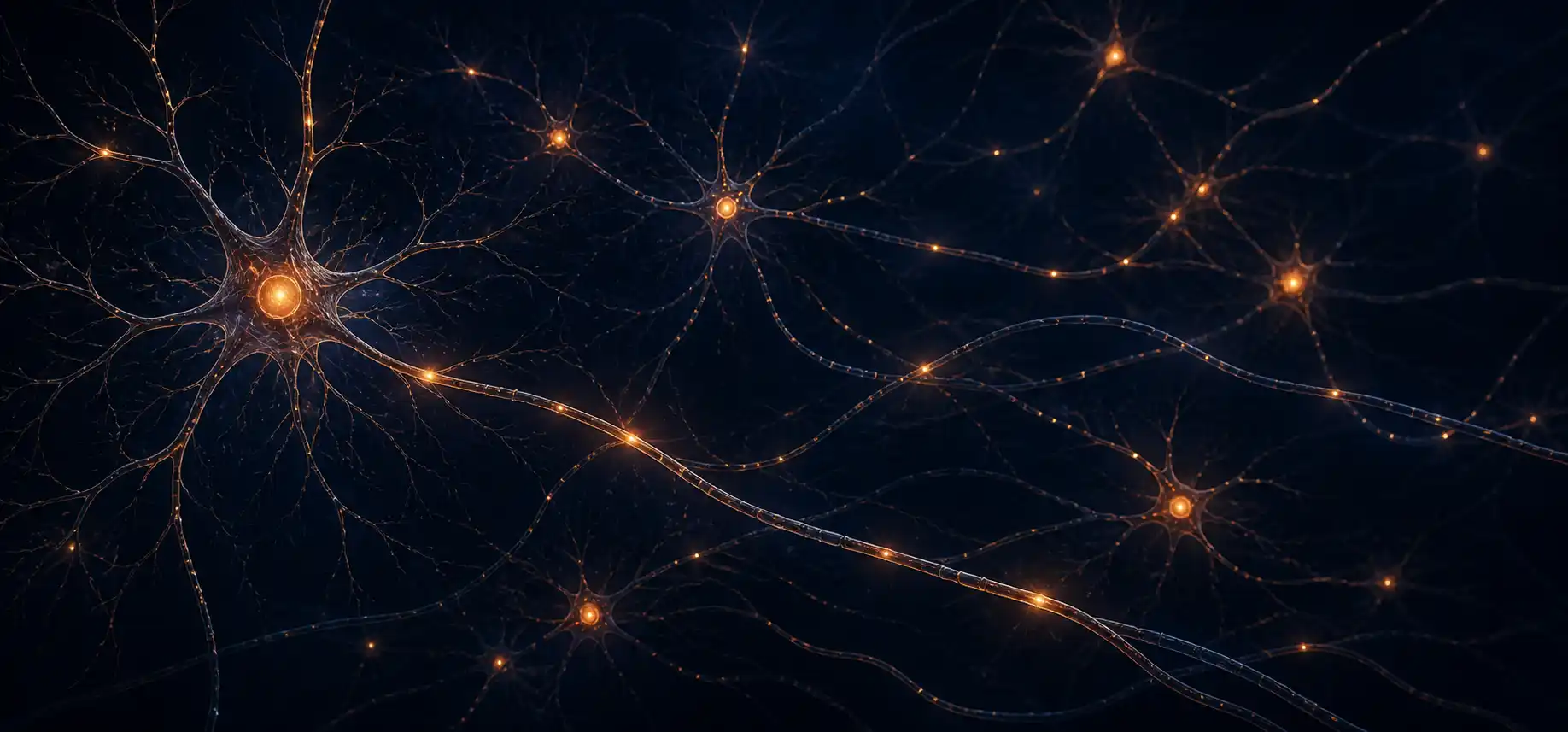 A network of glowing branching neurons against a dark background, faint electrical pulses travelling along their axons